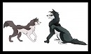 Aedus and Honovi