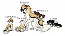 Siblings