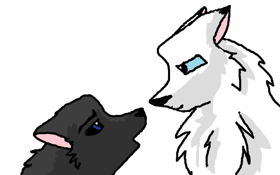 Rain and Tayla