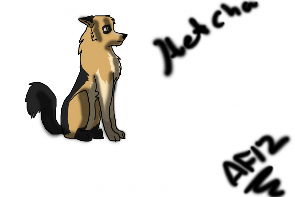 Request for Zuko