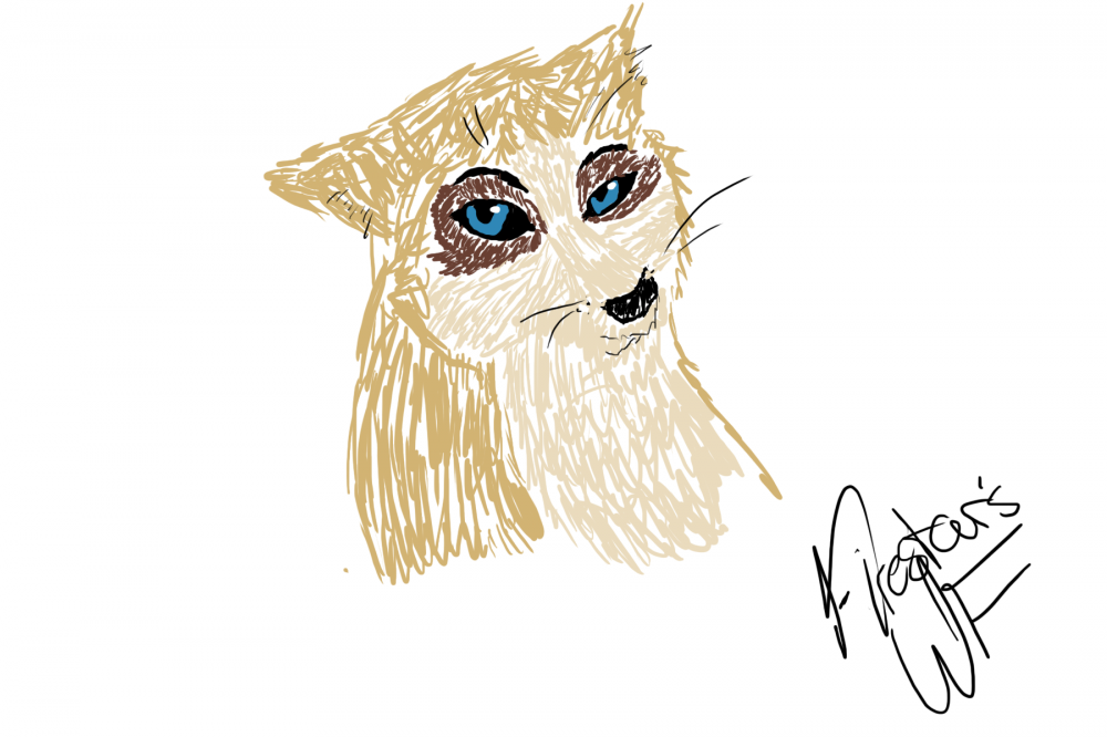 Realistic Zula