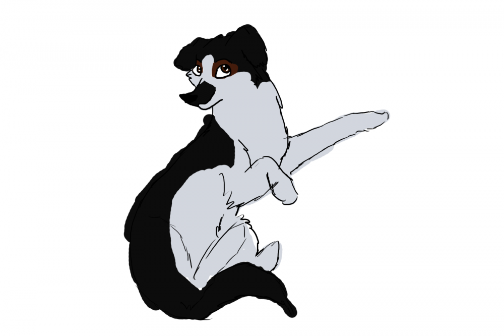Jet Request for Skotta