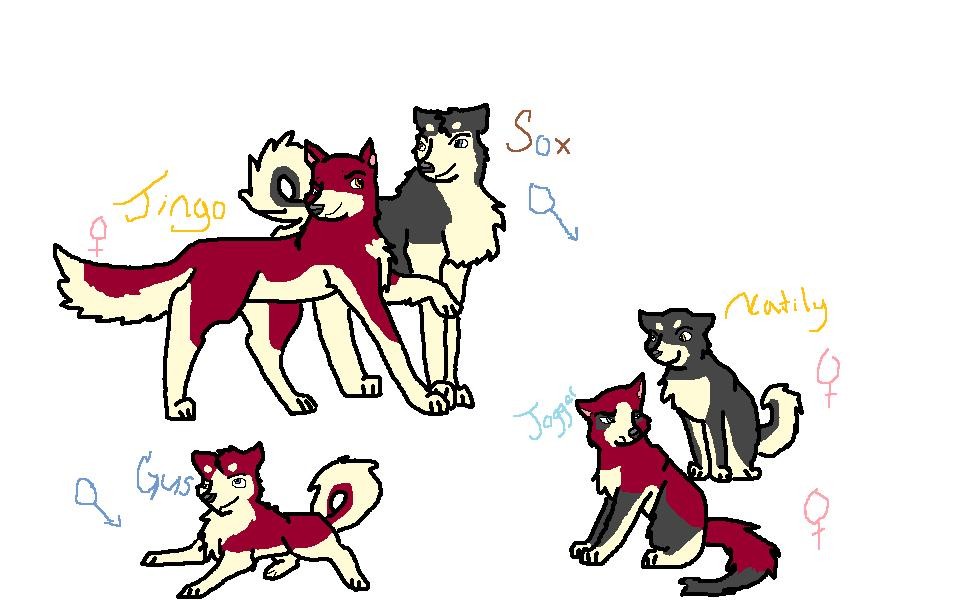Jingo's Family