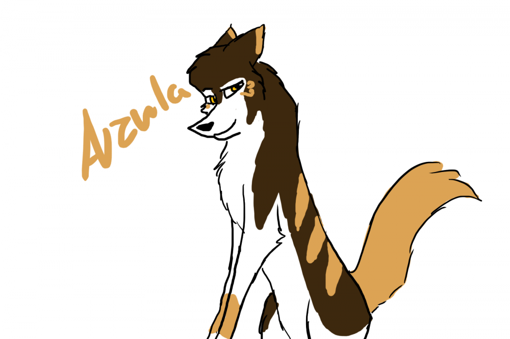 The colored Azula Wolf