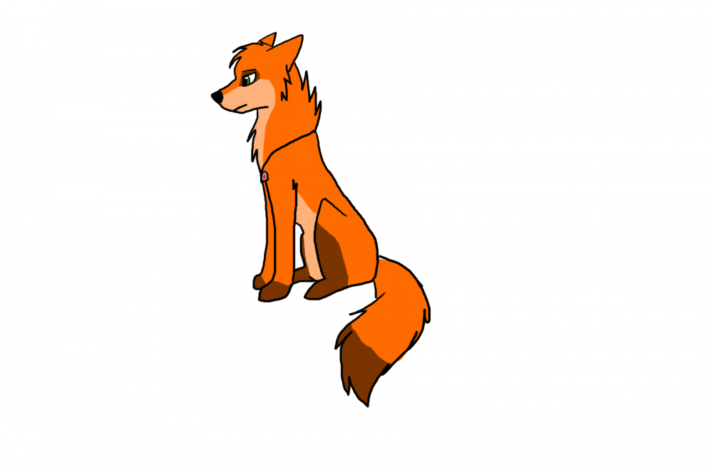 Whee