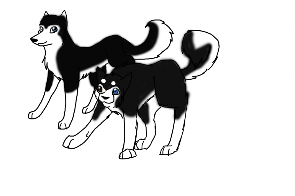 Bro and Sis(Ashen and Sox)