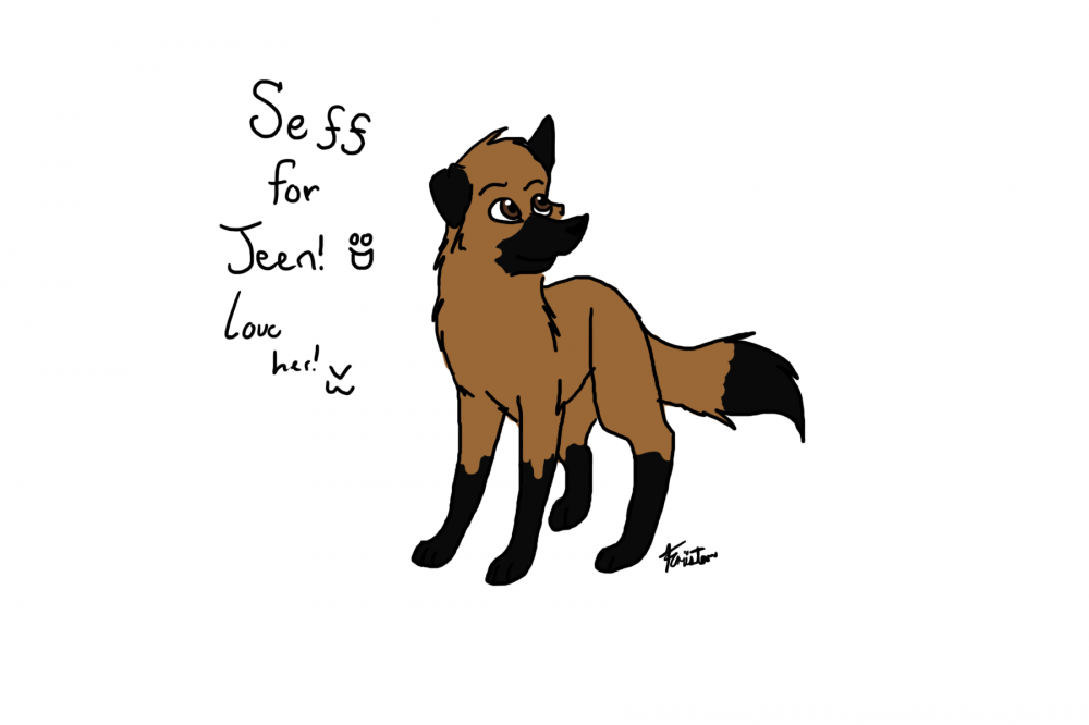 Seff for Jeen
