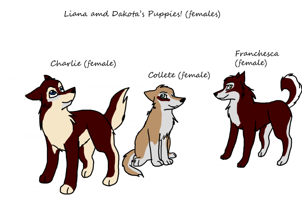 Liana and Dakota's puppies! (females)