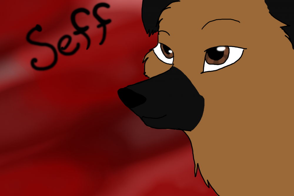 Seff avvie for Jeen