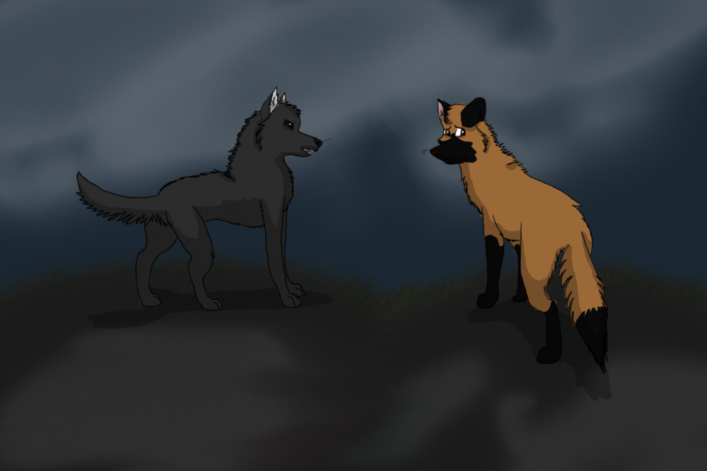 Seff and Weeko (gift)