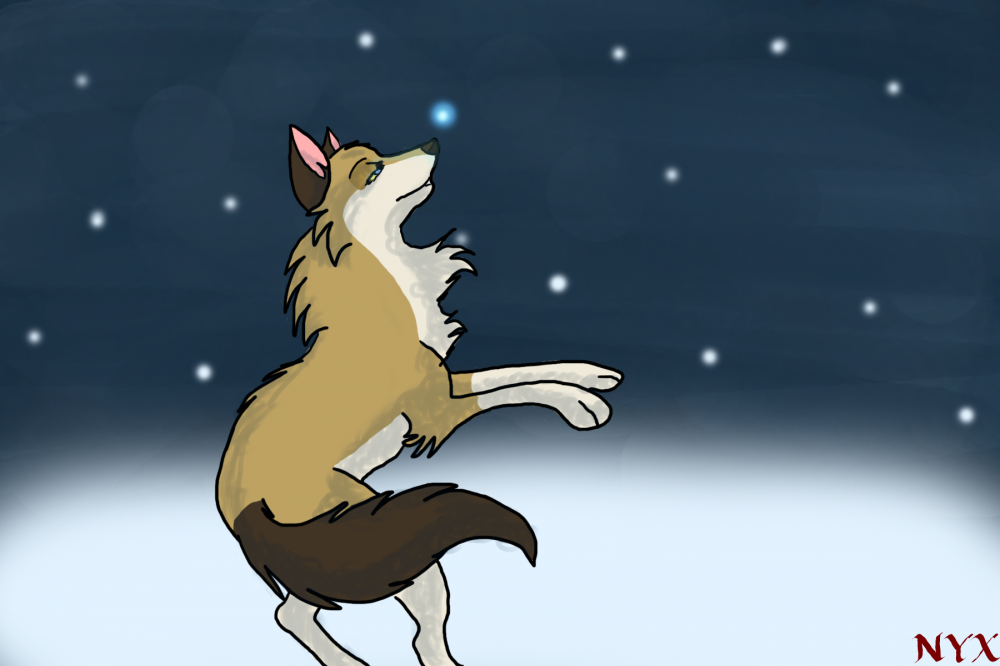 Kimora Chasing Snow and...Lights?