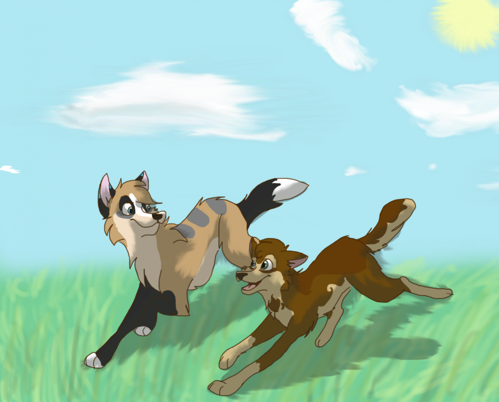 Sunny Day