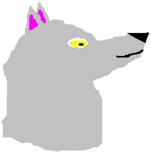 doglover pic 3