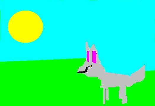 doglover pic 4