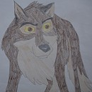 Balto
