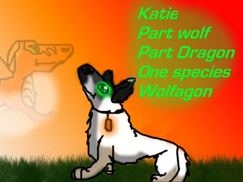 Katie gift for Hiccup 