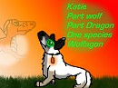 Katie gift for Hiccup 