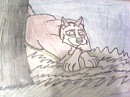 Balto sleeping under a tree