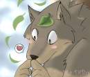 Coon   - -a