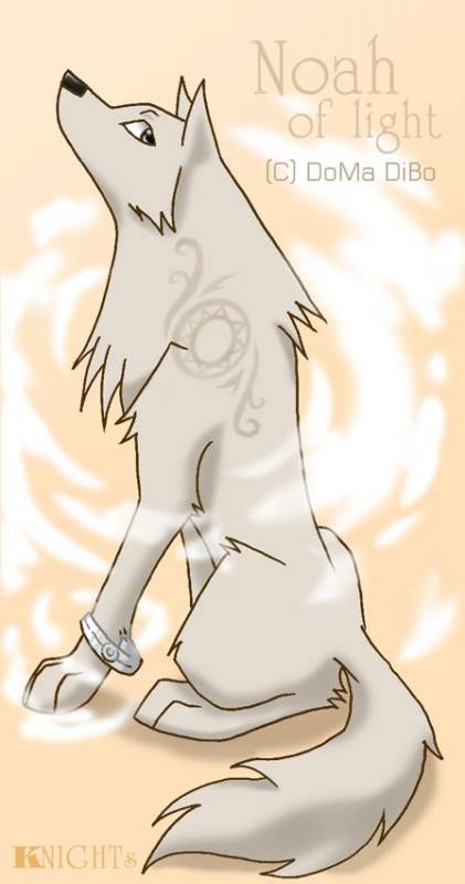 Noah of light
