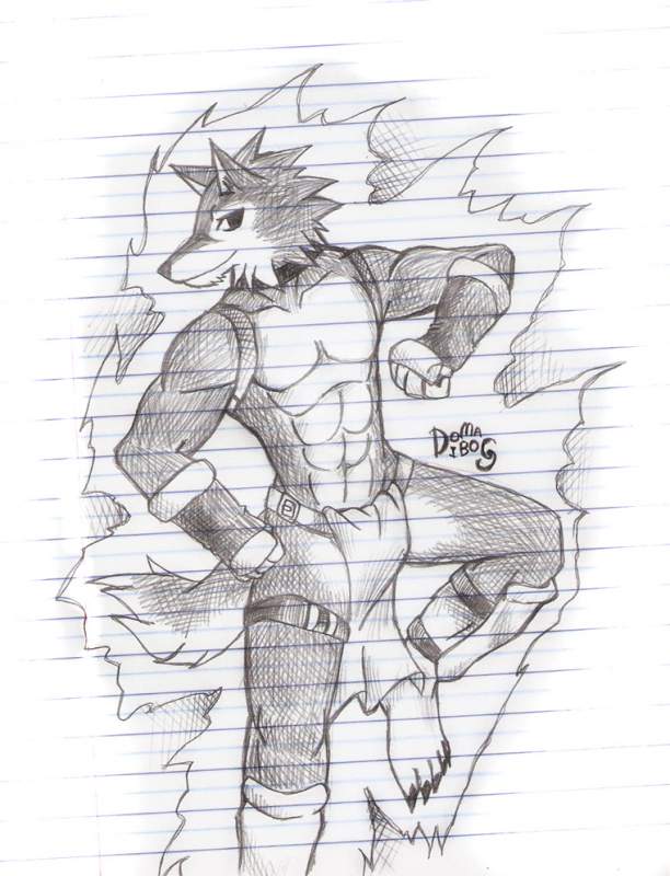 WOLF FIGHTER
