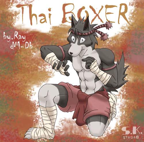 Thai Boxer