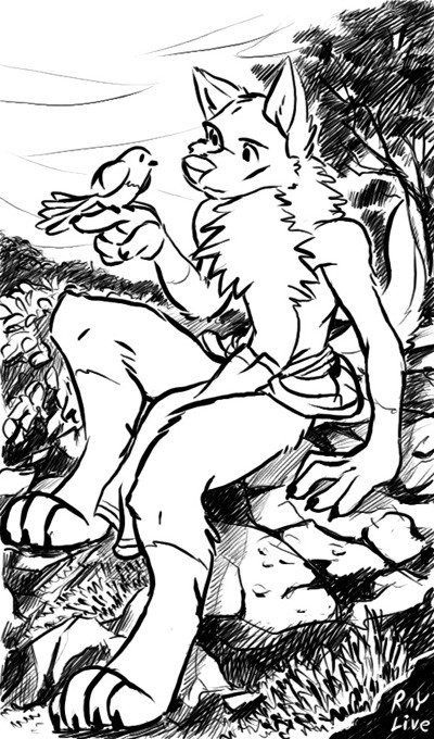Wolf and Bird
