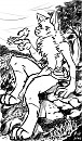 Wolf and Bird
