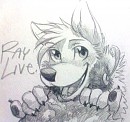 Ray Live