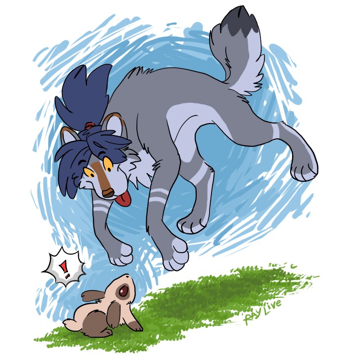 Rabbit !!