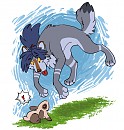 Rabbit !!