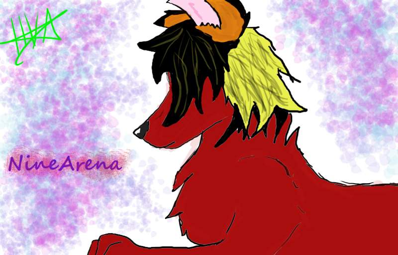NineArena