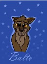 Young Balto
