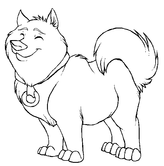 bablo dog