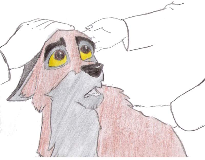 Balto's Back