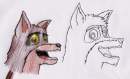 Balto