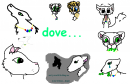 dove 
