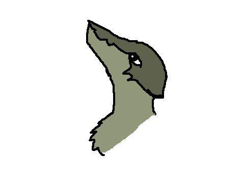 balto