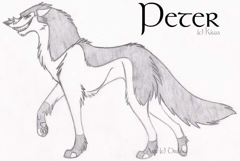 Peter Sketch Trade With Kiwa
