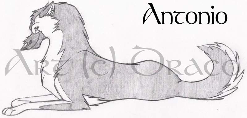 Antonio -Sketch Trade with MOS-
