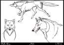 Achak - Wolf's Rain Style