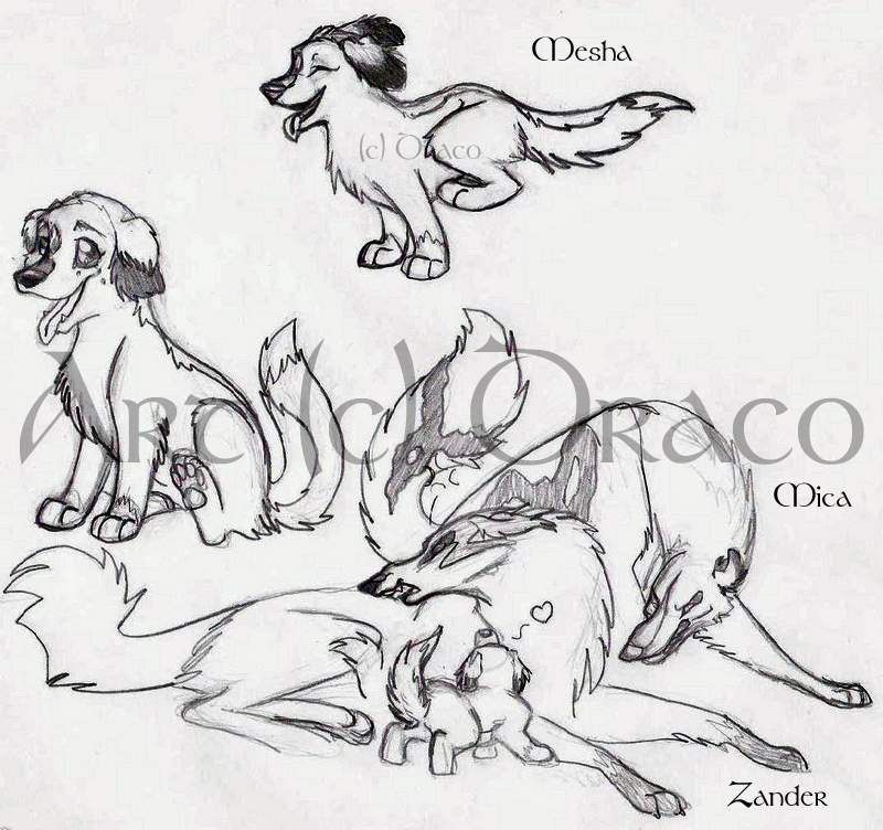 Mesha Doodle Fun