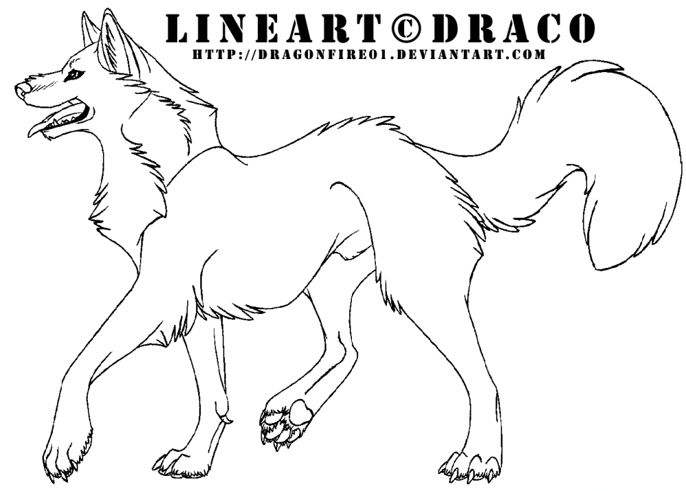 New Wolf Style Lineart