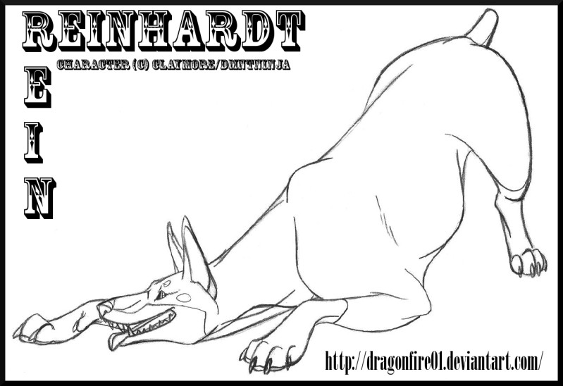 Reinhardt