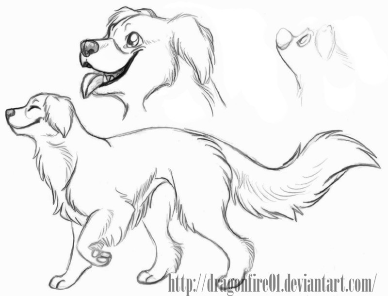 Daiquiri Doodles