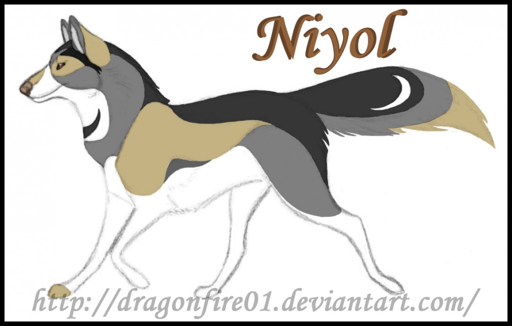 Niyol