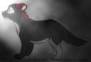 The Lost One