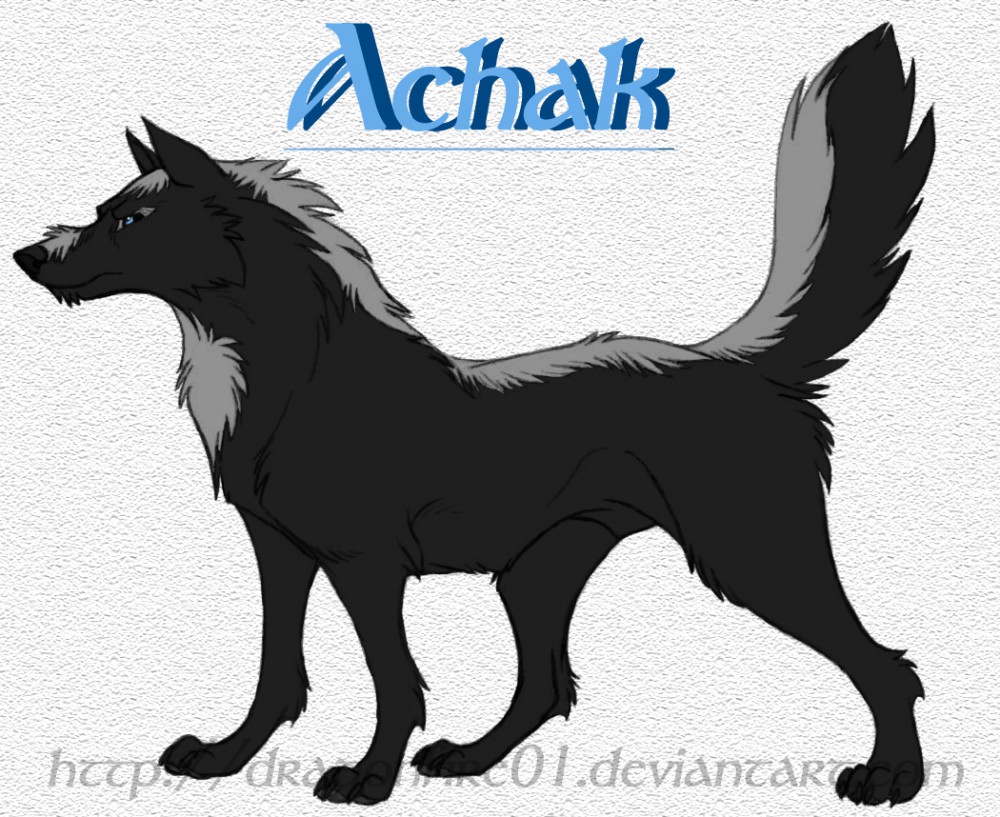 Achak Character Sheet