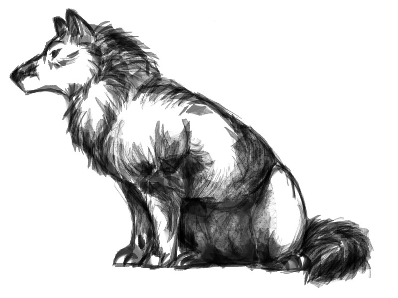 Sketch Pad Wolf