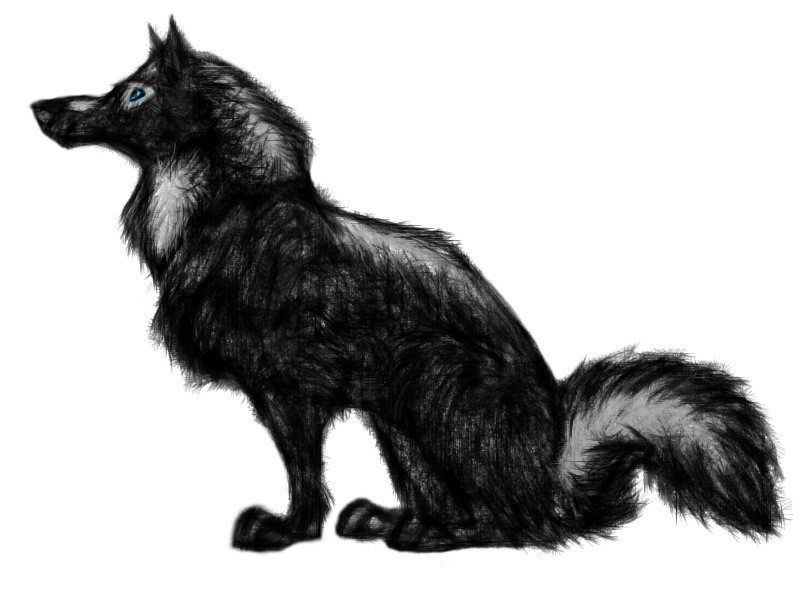 Achak Sketch